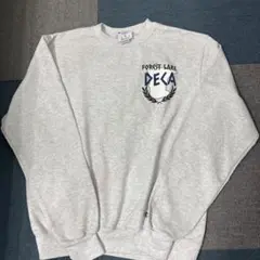 Champion FOREST LAKE DECA スウェット M199