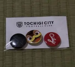 栃木シティ　缶バッジ