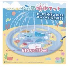 つぶらな瞳の水族館 噴水マット つみきセット 値下げ