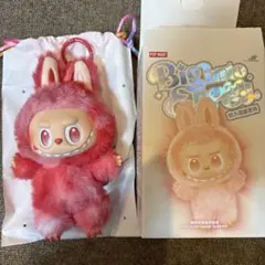 【正規品・未開封】Labubu 2 箱 60007.jpg