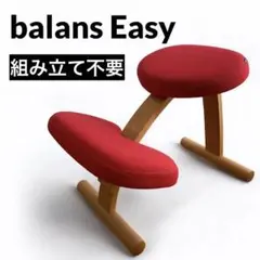 【D**さん専用】サカモトハウスバランスラボバランスイージーBalansEASY