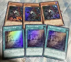 遊戯王カード デッキパーツ 黒魔女ディアベルスター イラスト違い まとめ売り