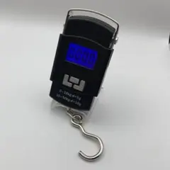 Item thumbnail for item 1334261f-db65-4e7e-89ae-638d7344962b