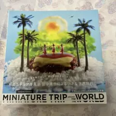MINIATURE TRIP AROUND THE WORLD