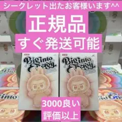 【正規品・未開封】 Labubu Big into Energy 2箱 ラブブ