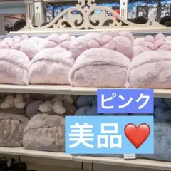 【美品✨✨】かわいく防寒！東京ディズニーランド秋冬フード付きブランケット・お土産