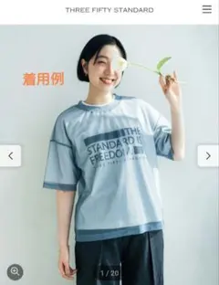 フェリシモ　シアーなオーバーTシャツの会　L