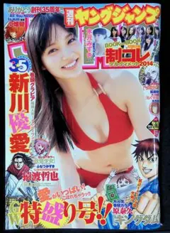 （中古品）週刊ヤングジャンプ 2014年5月15日号　新川優愛、木元みずき