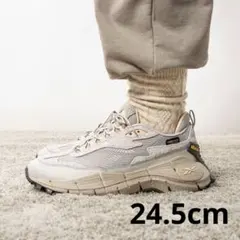 Reebok ZIG KINETICA 2.5 EDGE　100074669