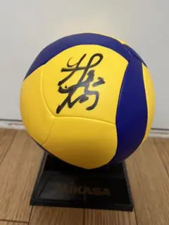 佐藤淑乃 バレーボール