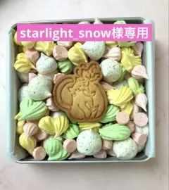starlight_snow様専用ページです☆