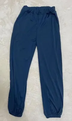 ネイビー ストライプパンツ