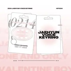 ★新品未使用品★NCT127 ドヨン ボイスキーリング トレカ付き NCT 127 ソウルコン グッズ ボイスキーリング トレカ ドヨン NCT