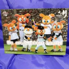 BBMジャビットカード2016年