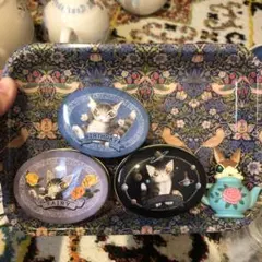 ダヤン わちふぃーるど