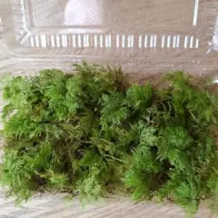 Merumaru1115様 リクエスト 3点 まとめ商品