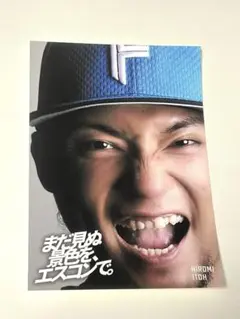 ファイターズ ステッカー 記念グッズ