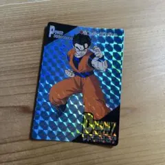 ドラゴンボールZ PPカード カードダス 孫悟飯 - メルカリ