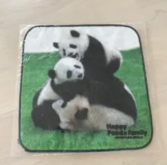 2025年最新】アドベンチャーワールド パンダ タオルの人気アイテム