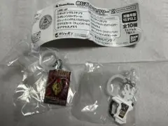 送料込み‼️仮面ライダー　めじるしアクセサリー2 ガシャット　アドベントカード