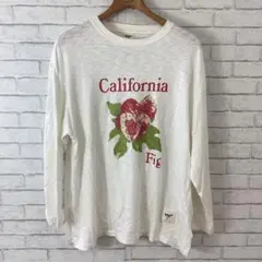 10.1 t591 CollegiatePacific Tシャツ 長袖 プリント