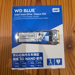 WD BLUE 1TB SATA SSD M.2接続