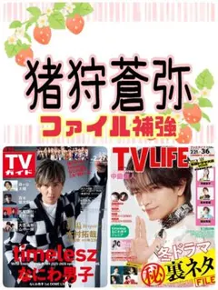 TVガイド 2/27号 猪狩蒼弥 切り抜き KEY TO LIT