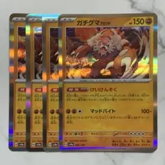 ガチグマ アカツキ　けいけんそく　４枚（SV8a ・テラスタルフェスex）