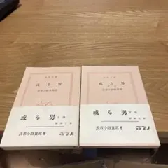 或る男 上下巻 新潮文庫