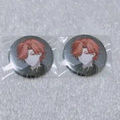 Crazy Raccoon HW2025 缶バッジ ありさか