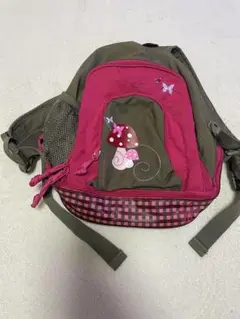美品レッシグ　チェストベルト付きリュックサック ミニバックパック　マッシュルーム