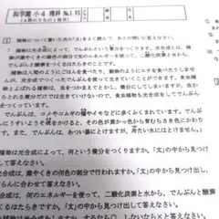 浜学園小5 国語　H講習復習テスト 1年分 No1～42 　問題解答【入手困難】 浜学園小5 国語 H講習復習テスト 1年分 No1～42 問題解答【