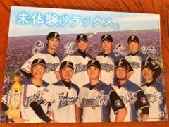 大谷翔平 北海道日本ハムファイターズ クリアファイル 2枚セットのサムネイル