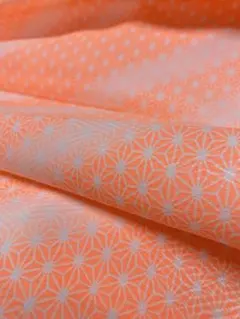 Item thumbnail for item 0fee7592-f6c8-40d4-bb9a-0465a00fdc32