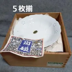 日本製　新品　肥前焼　雅幸作　 白磁器　5枚セットのサムネイル