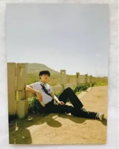 SEVENTEEN ヘンガレKIT フォトカード ウォヌ