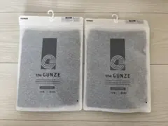 GUNZE the GUNZE ニットトランクス Lサイズ 2枚セット綿100%