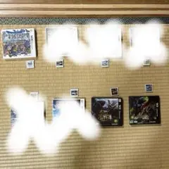 ニンテンドー3DS ソフト7本(カバー付き)