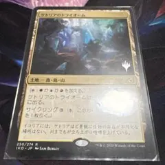 【まとめ買い200割引】 ケトリアのトライオーム プロモスタンプ 日本語 a