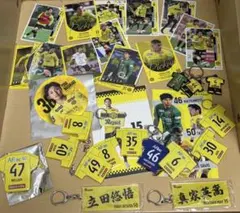 柏レイソル スポーツ選手