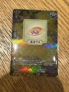 刀剣乱舞　ヴァンガード　散歩アメTRR