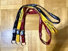 UCI ネックストラップ 3本セット アーバイン大学
