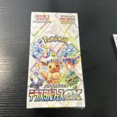 テラスタルフェスex 1box