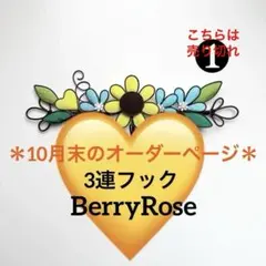 ＊10末のオーダーページ