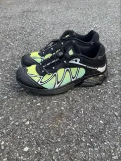 希少サイズ　SALOMON XT-WHISPERスニーカー 29.5cmのサムネイル
