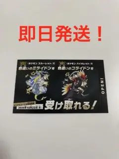 ポケモンスカーレットバイオレット　色違いのミライドンコライドン１