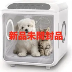 Item thumbnail for item f5c5d5fa-5c92-44c6-ab74-ab5150073b7c