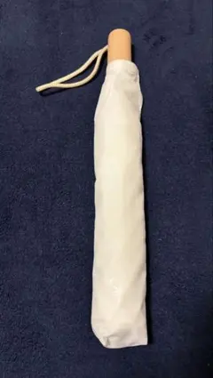 Item thumbnail for item 6f028ca5-147f-4d18-9334-821a77aab665