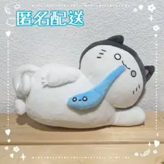 鈴木愛奈 にゃすこっと ぬいぐるみ