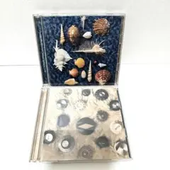 【中古CD】スピッツCYCLE HIT2枚セット